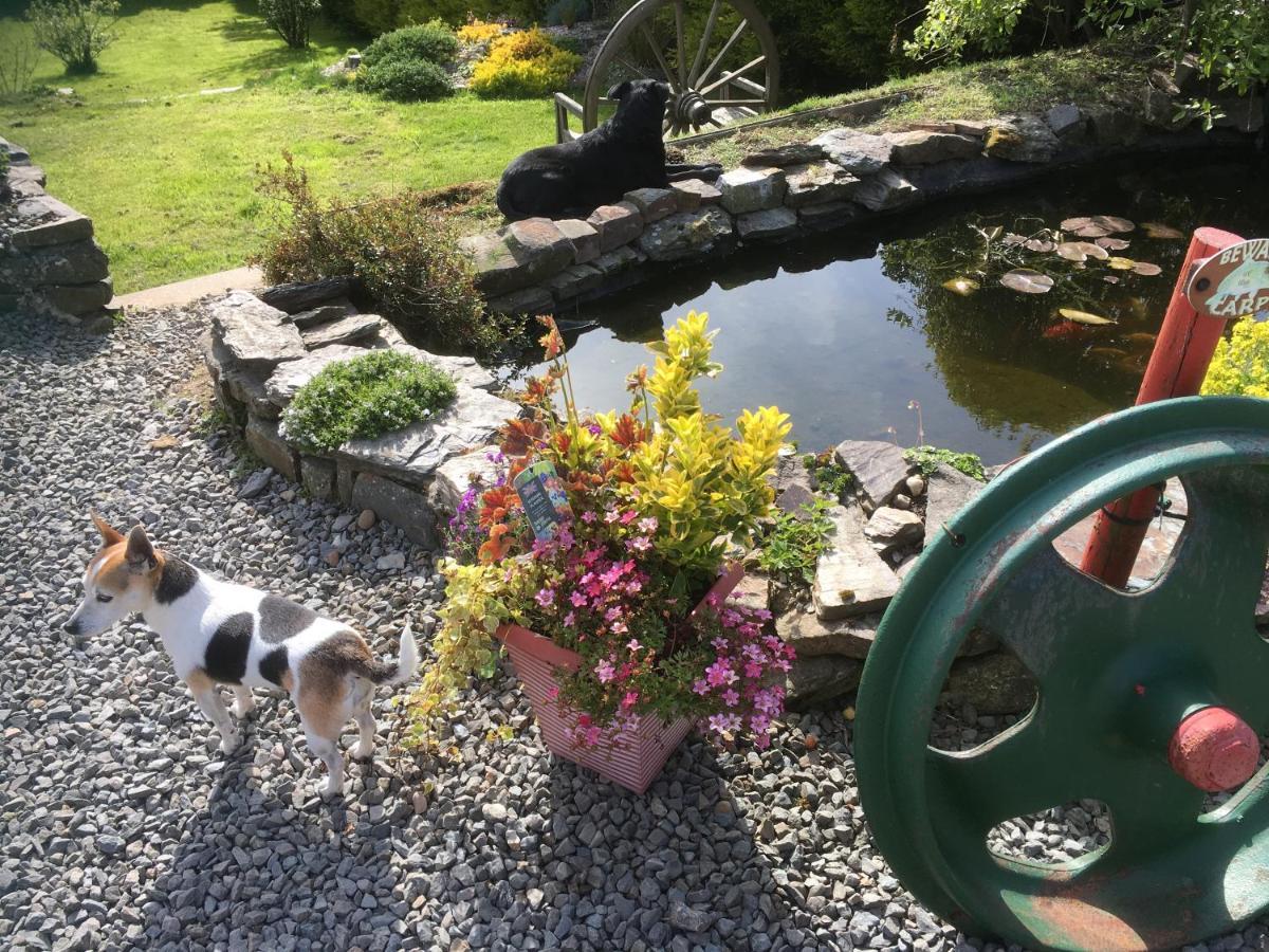 Stoke House Bed And Breakfast Stoke Rivers Extérieur photo
