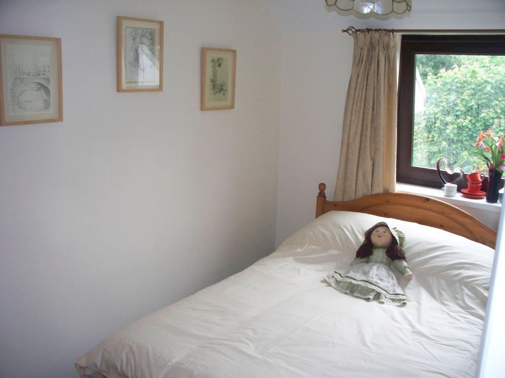 Stoke House Bed And Breakfast Stoke Rivers Chambre photo